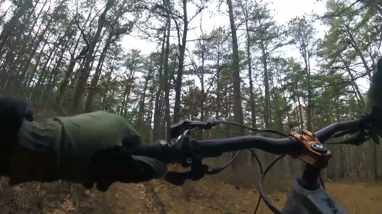 Allaire State Park - Blue Trail