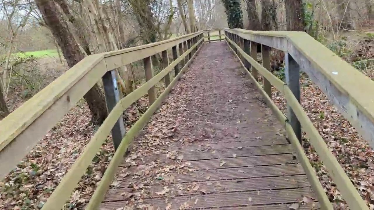 Marl - Naturschutzgebiet Burg Teil 3