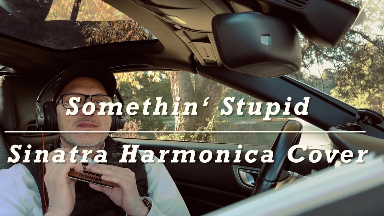 Somethin Stupid Harmonica Cover Nancy & Frank Sinatra Mundharmonika Nicole Kidman & Robbie Williams
