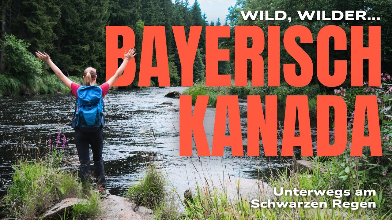 Bayerisch Kanada und pure Wildnis – Der Zauber des Schwarzen Regens