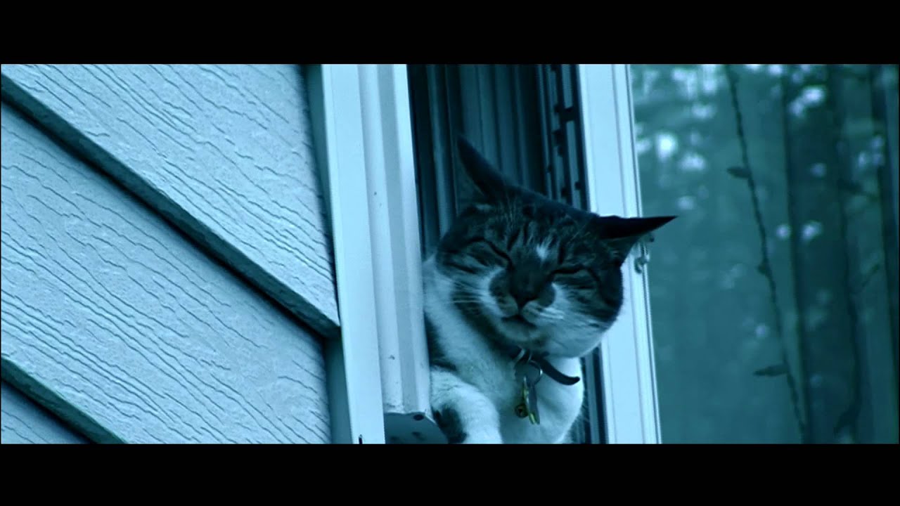 Canon HF S200 Film Look