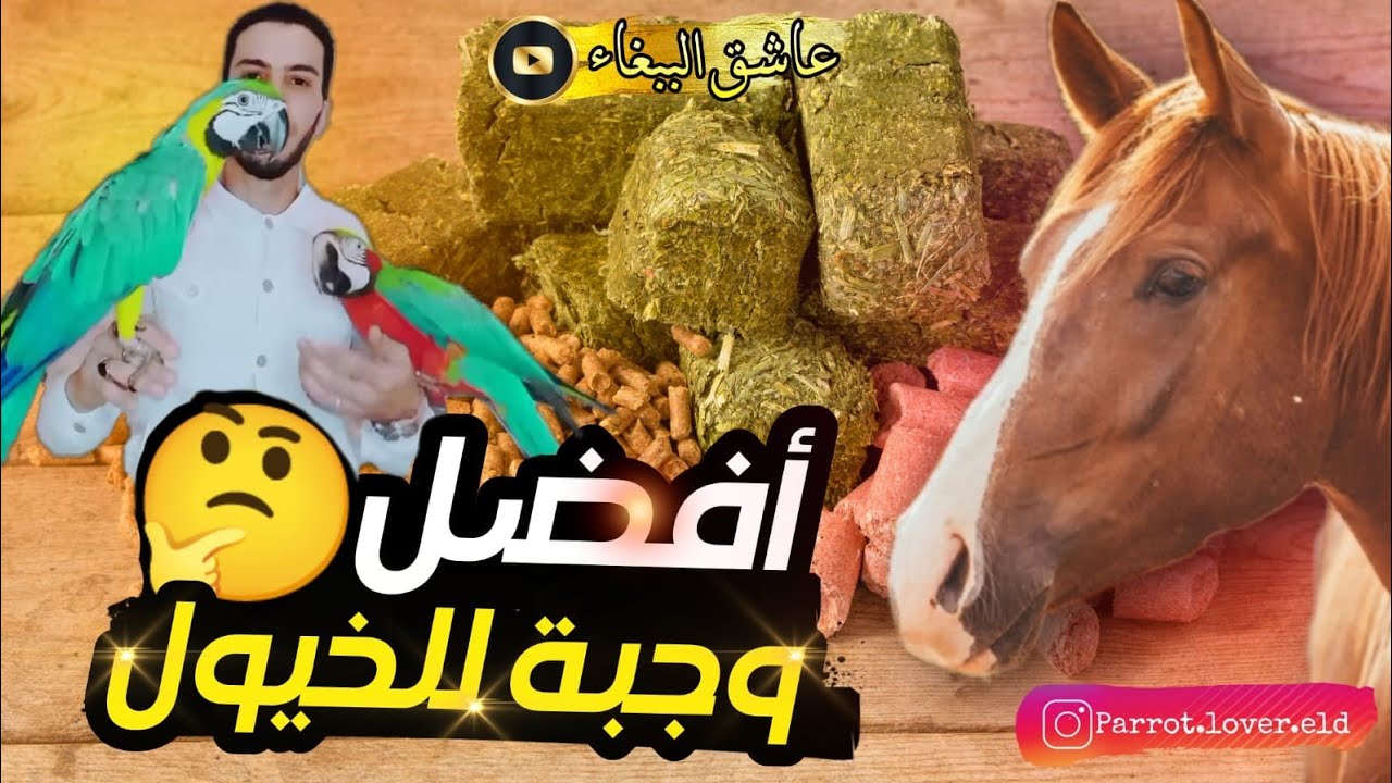 احسن خلطة💪🏻 لتسمين الخيول🐎🏇