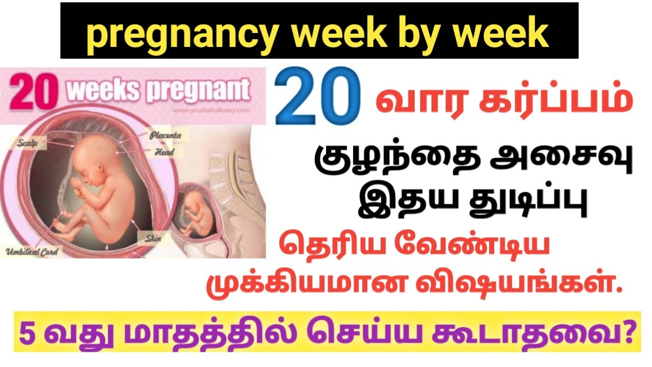 20 வார கர்ப்பம் | 20 week pregnancy in tamil | 20 week pregnancy symptoms | pregnancy week by week |