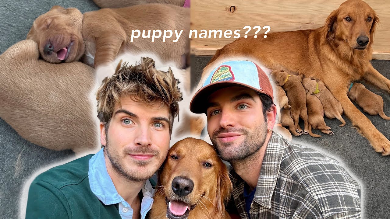 HELP ME NAME THE PUPPIES! + Extended Version of The Puppy Birth | Episode 9