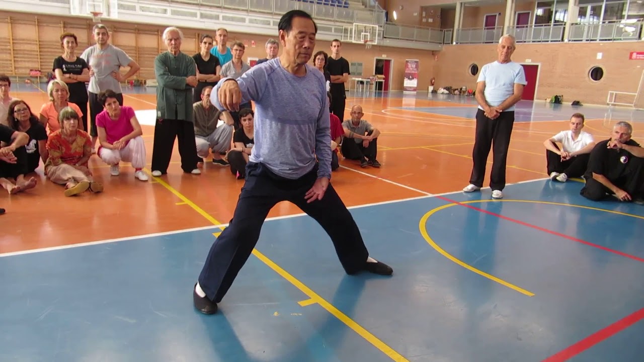 Tai Chi Chen - WANG Xi an taiji quan - Forme 8 - Pampelune/Espagne  2016