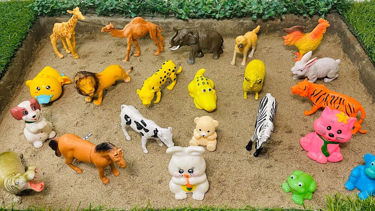 How BIG Are Wild Animals? 🦒 Giant Animal Facts for Kids! | Elephant, Tiger, Giraffe & More!