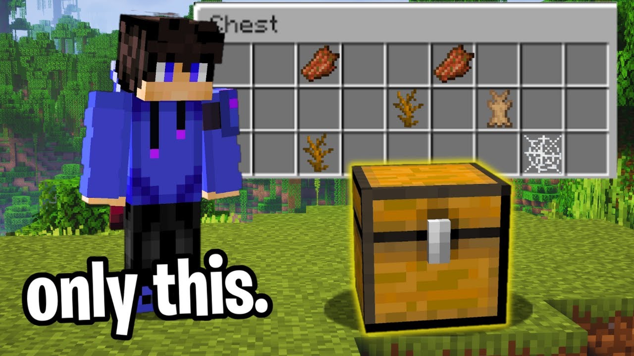 Can You Beat Minecraft With the Loot of ONLY ONE Chest?