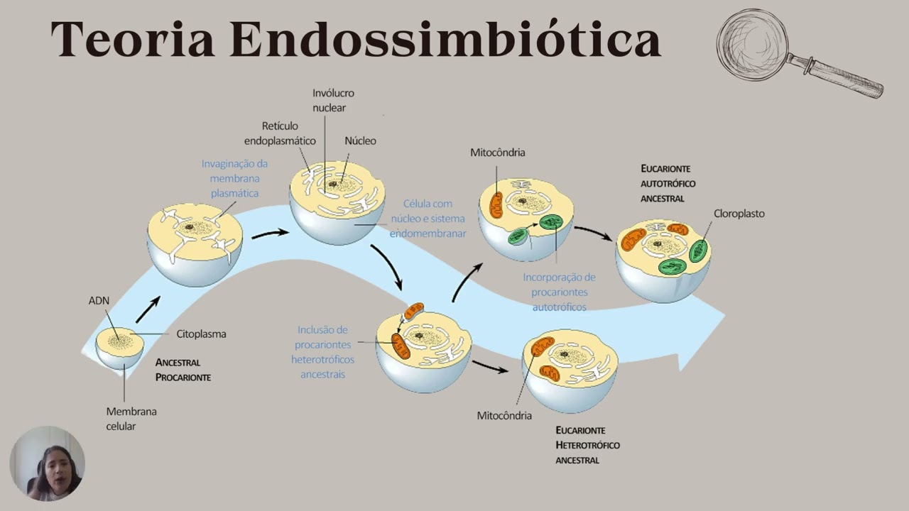 Aula 1   Introdução à Bioquímica