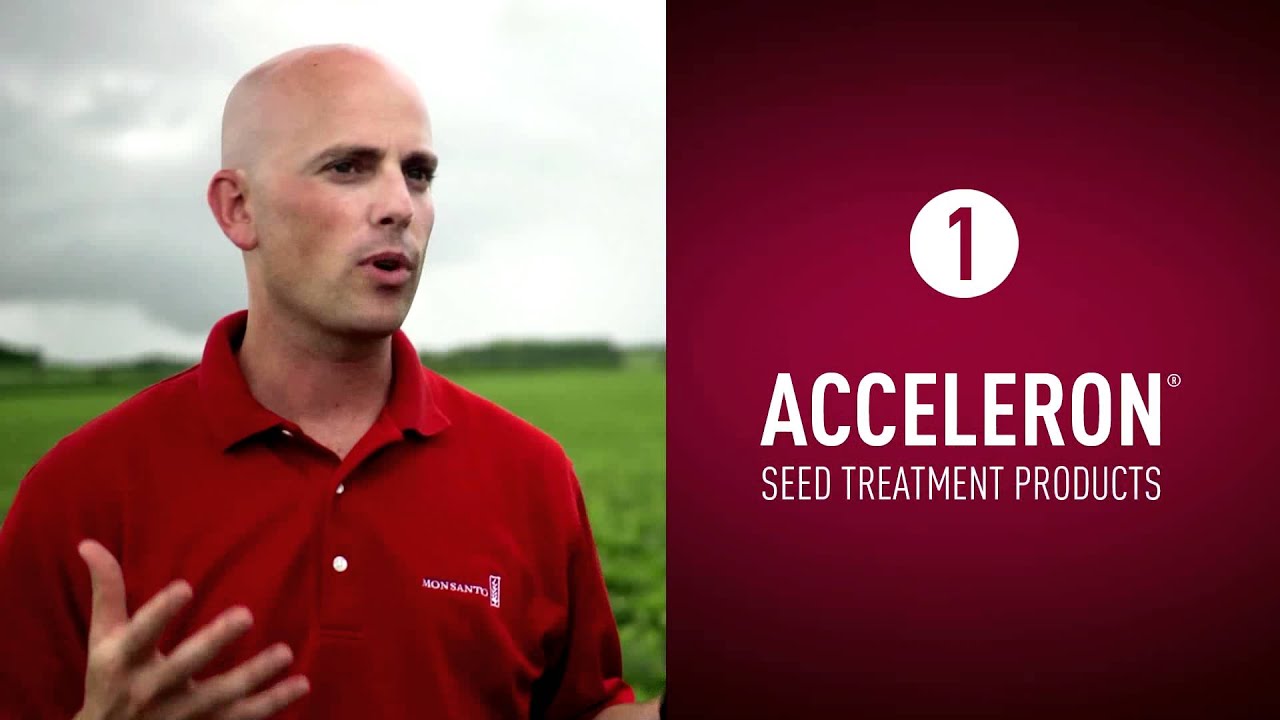 Fields and Yields - 5 Practices for Higher Soybean Yield Potential