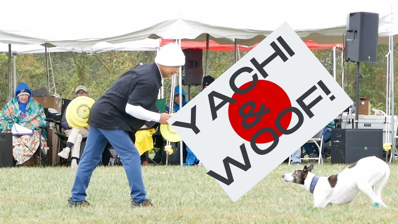 Yatchi & Woof! 2023 USDDN