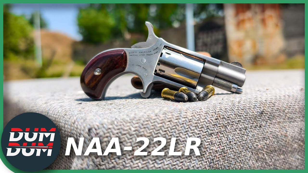 NAA 22LR, najmanji revolver na svetu!