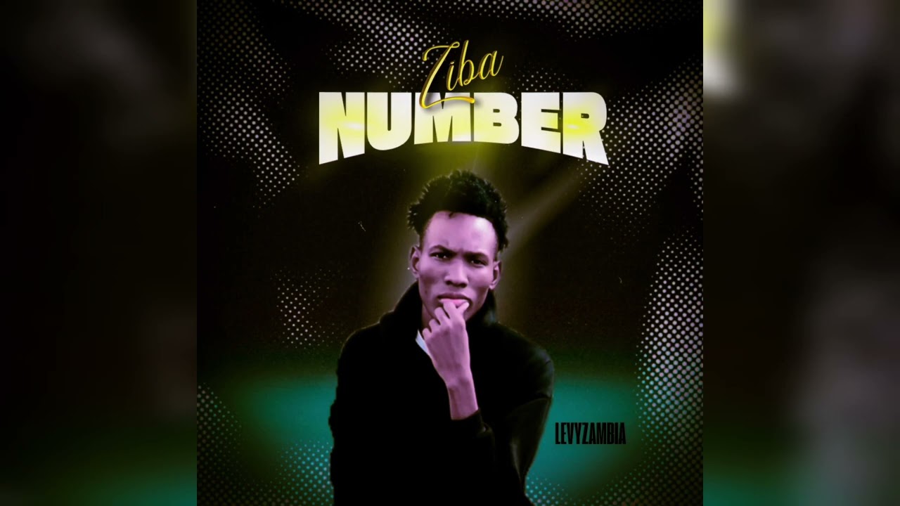 Ziba Number_LevyZambia