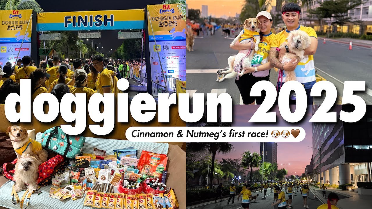PET EXPRESS DOGGIE RUN 2025 ♥