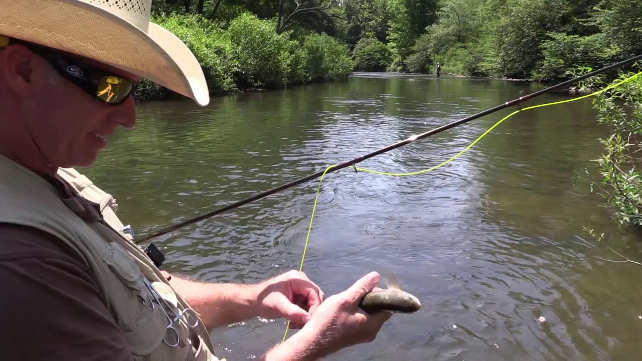 Fly Fishing the Casselman River in Maryland