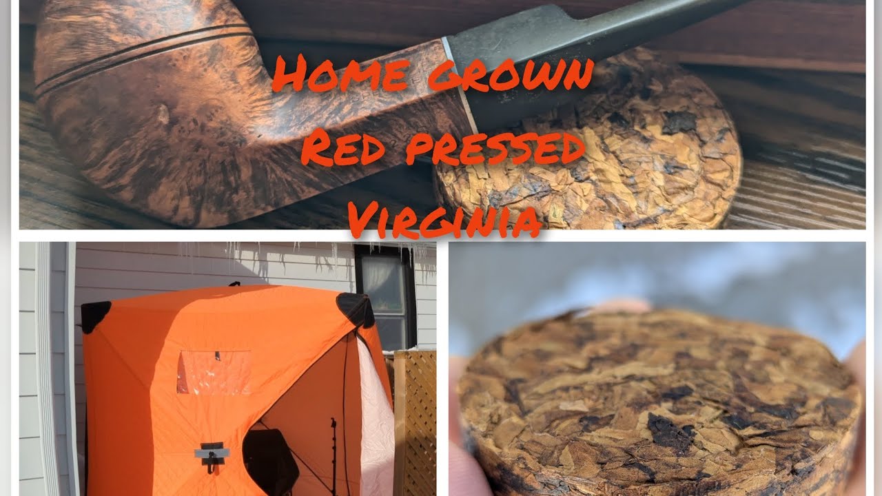 Home Grown Pressed Red Virginia and Perique + Smoking Tent and VR To Vintagepipenightmare