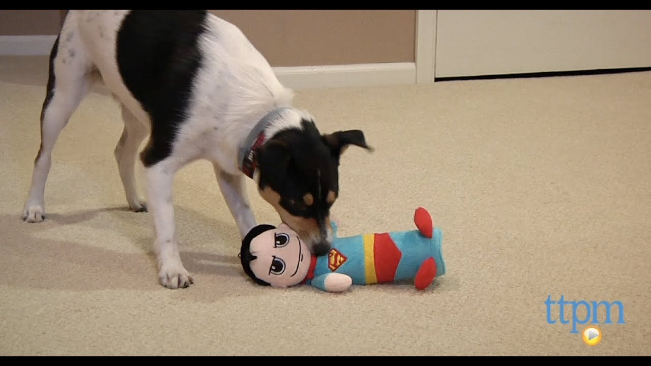 DC Comics Originals Dog Toys from Fetch for Pets