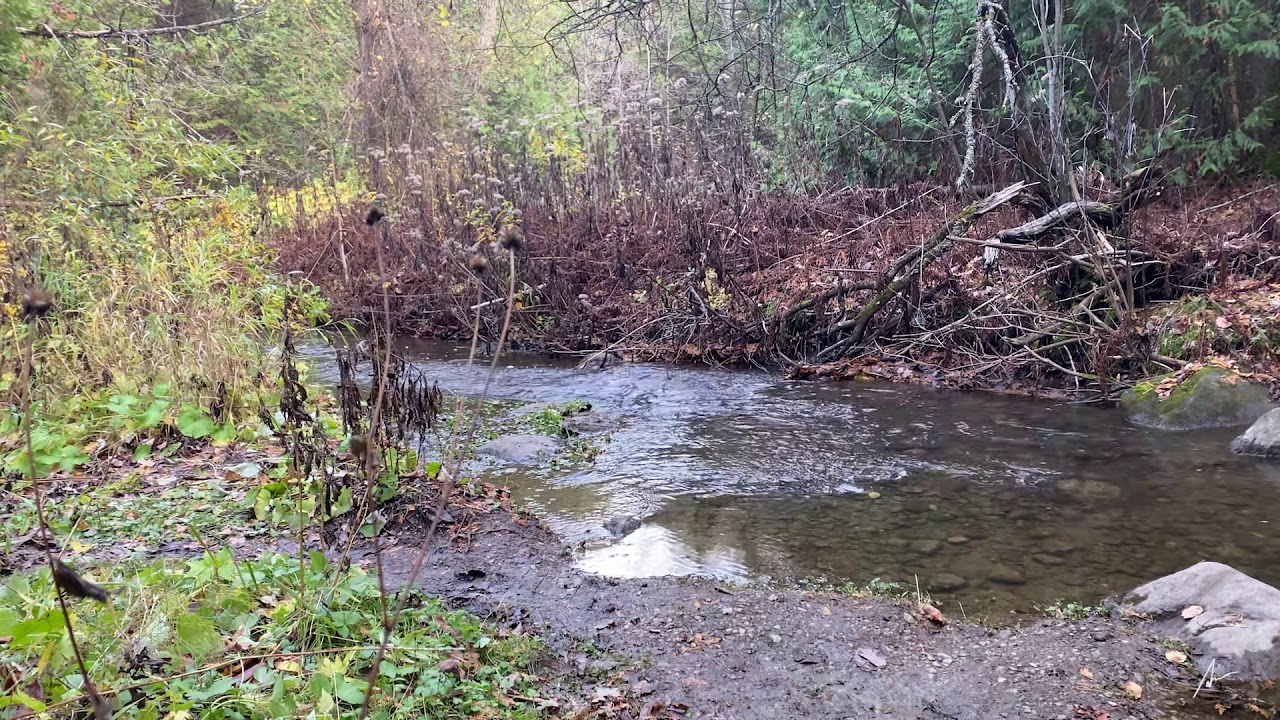 Scanlon Creek - Guide around Lake Simcoe 3 (IASC3P93)