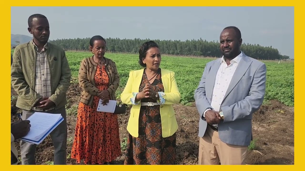 በምግብ ራስን በመቻል ከተረጅነት ለመውጣት በከሚሴ ከተማ አስተዳደር እየተሰራ ያለ  ስራ... #የአመራሮች ጉብኝት