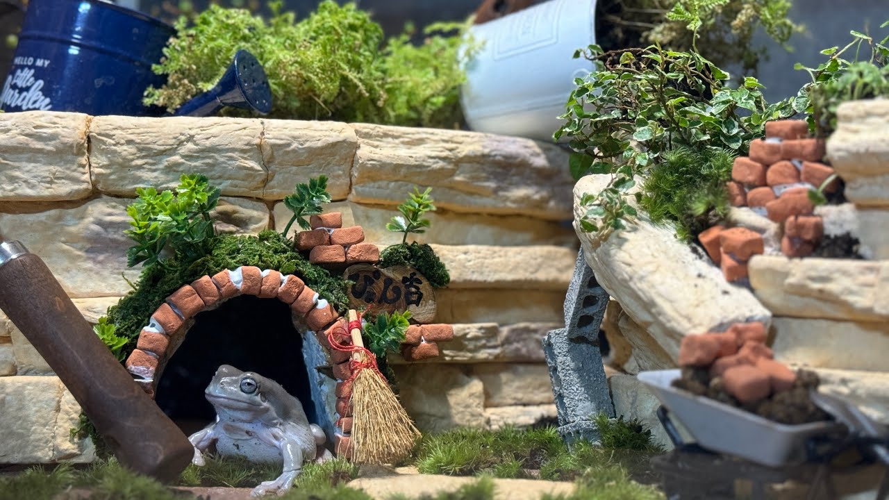 庭に住みついたカエルのおうちレイアウト