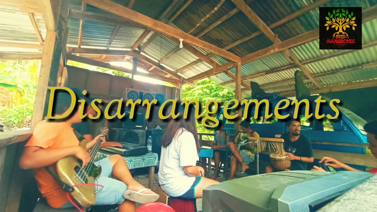 Disarrangements - Bud Mangroves (Official Lyric Video)