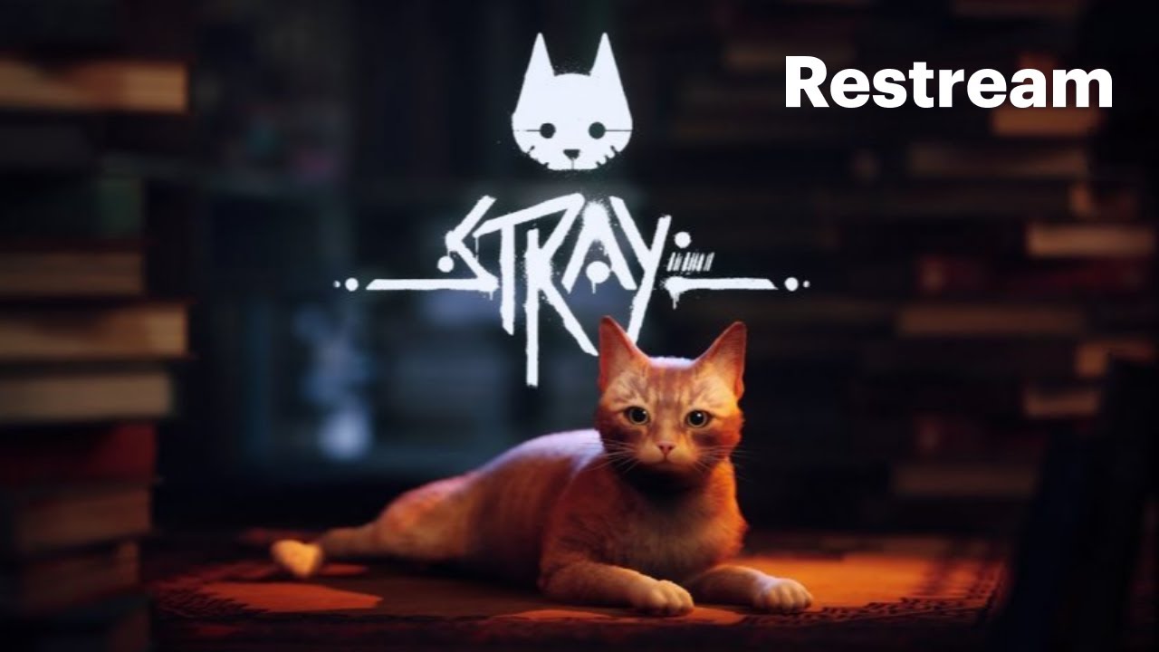 Le petit Chat qui rush comme un FOU ! (Speedrun Stray) !pb