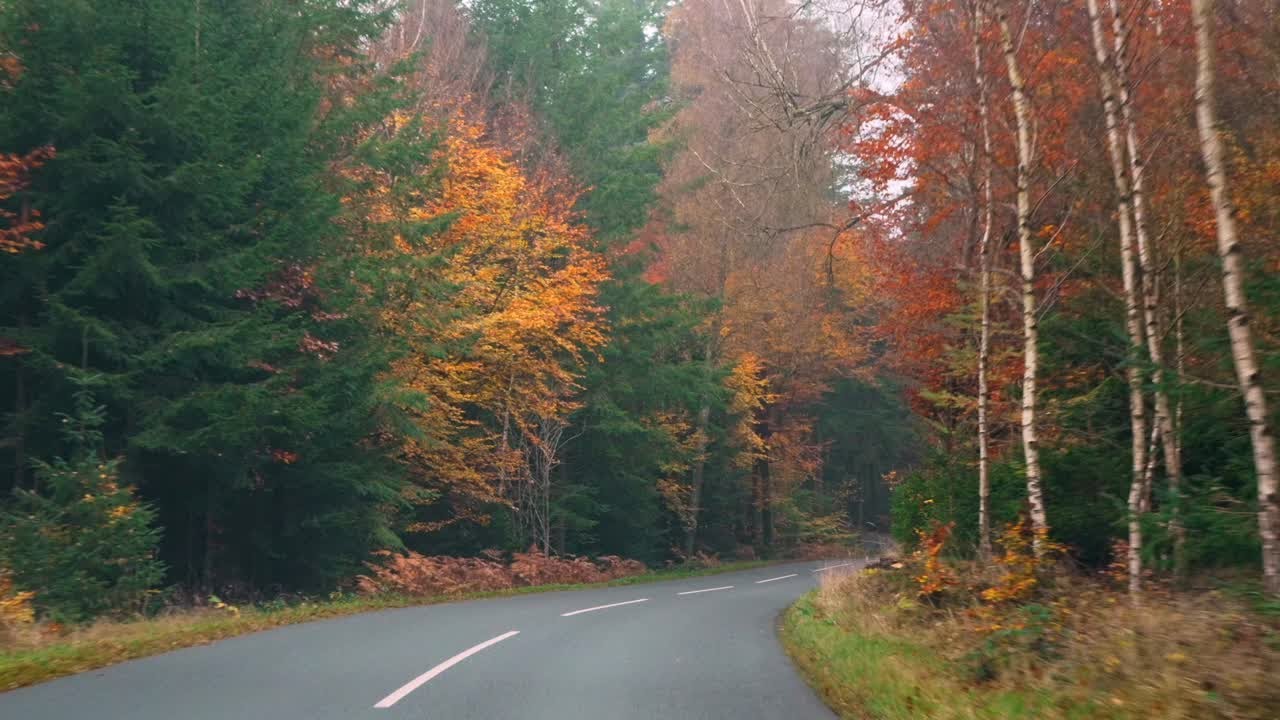 Lazy Autumn Colours. From Ry to Silkeborg. Danish Margueritrute Drive