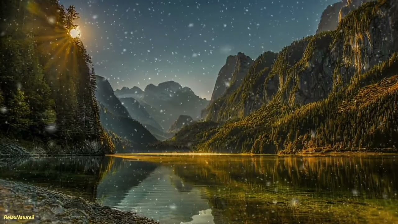 Relaxing Nature Sounds — Forest Lake Ambience, Birds & Water for Sleep, Meditation, Stress Relief