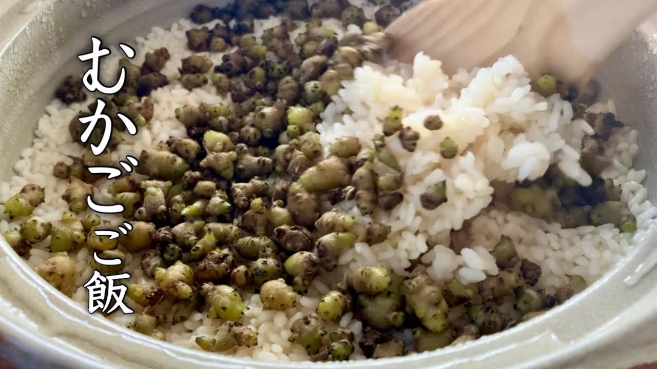 【オカワカメのむかご】オカワカメの締めくくりは、むかごご飯