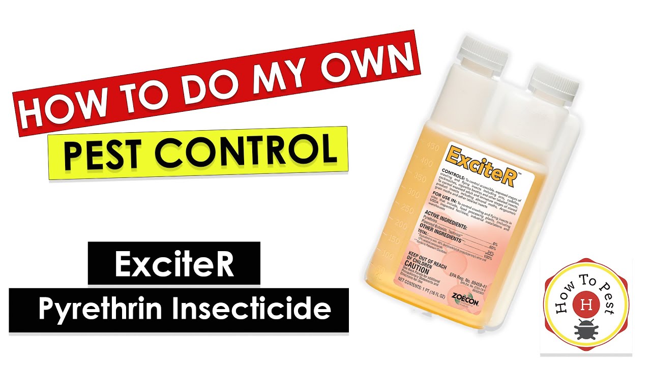 How to Do DIY Pest Control – ExciteR Insecticide Spray Tutorial (Zoecon)