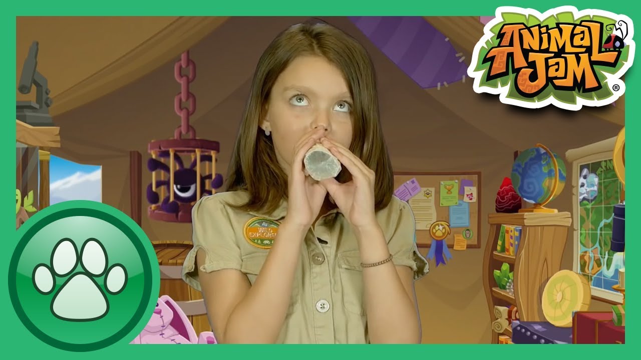 Wild Explorers - Make a Kazoo