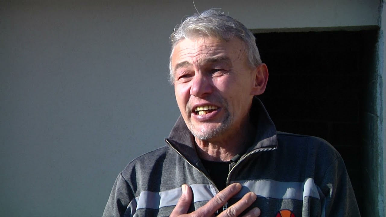 Zizi i njegove ljubavi