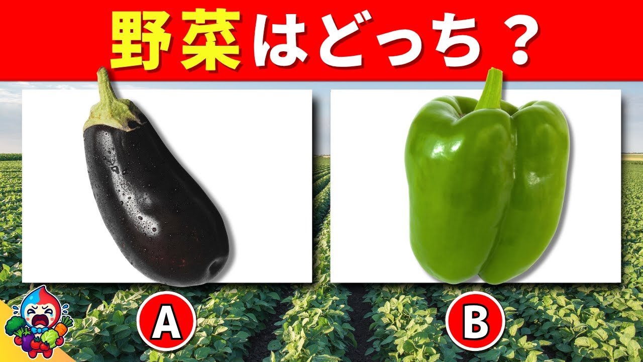 【全35問の野菜の雑学クイズ】24問以上正解でキミは野菜博士だ！