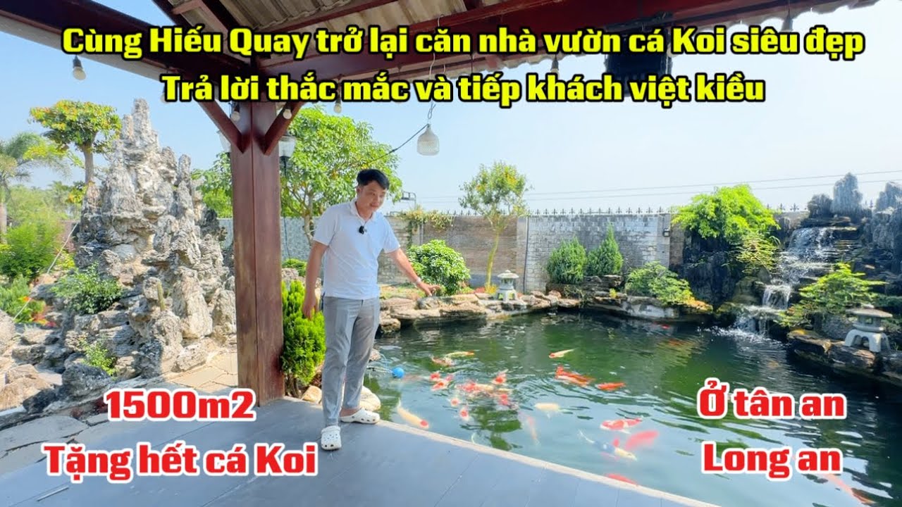 Cùng Hiếu quay trở lại căn nhà vườn cá Koi siêu đẹp trả lời thắc mắc và tiếp khách việt kiều 100m2