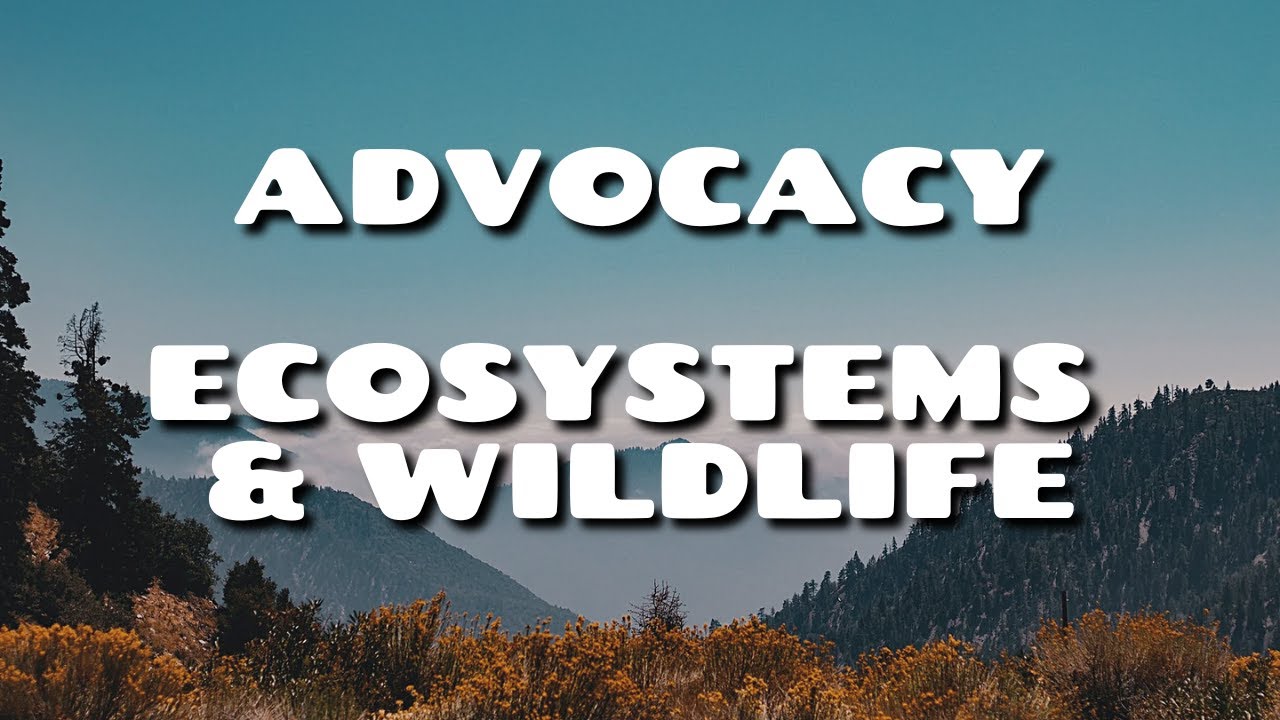 Advocacy for Ecosystems and Wildlife
