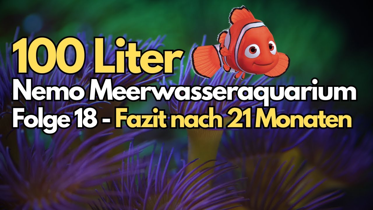 100 Liter Meerwasseraquarium - Folge 18 - Mein Fazit nach 21 Monaten