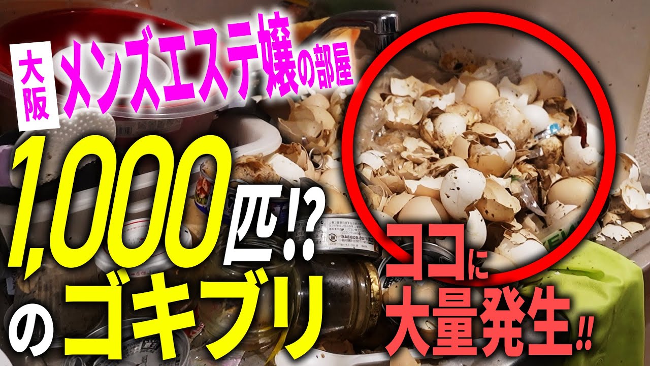 【閲覧注意】大阪メンエス嬢宅でゴキブリ大量発生！プロが限界!? 絶叫した衝撃現場｜ゴミ屋敷清掃