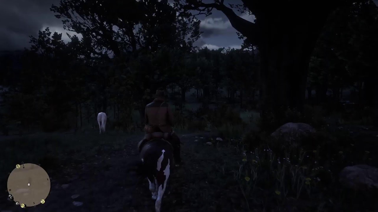 Red Dead redemption 2 #liveps5 #rockstar