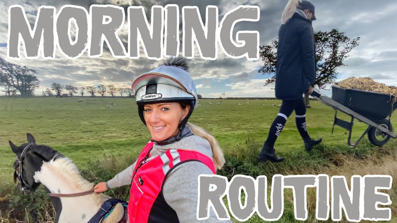 EQUESTRIAN MORNING ROUTINE | ❄️🍂 Autumn/Winter Edition 🍂❄️ | Riding Remington