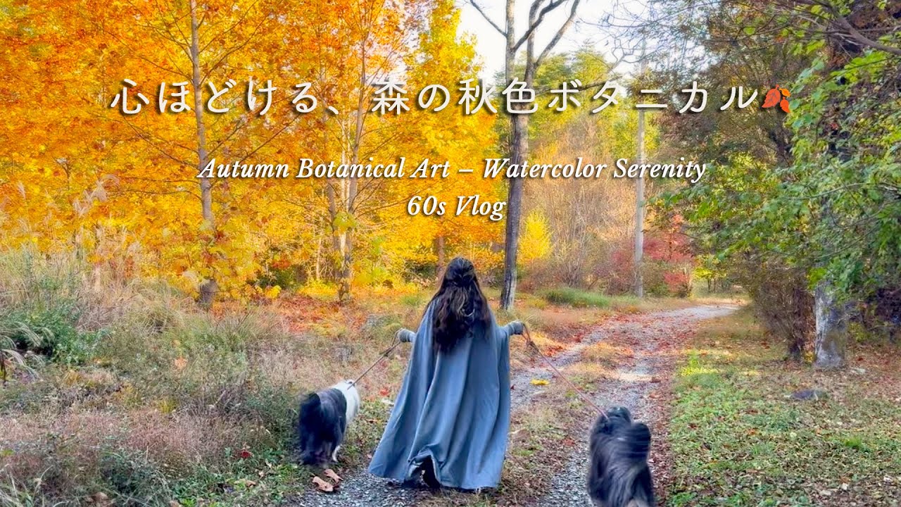 wanlife｜Жизнь в травяном лесу 🌿🕊️🐾💖