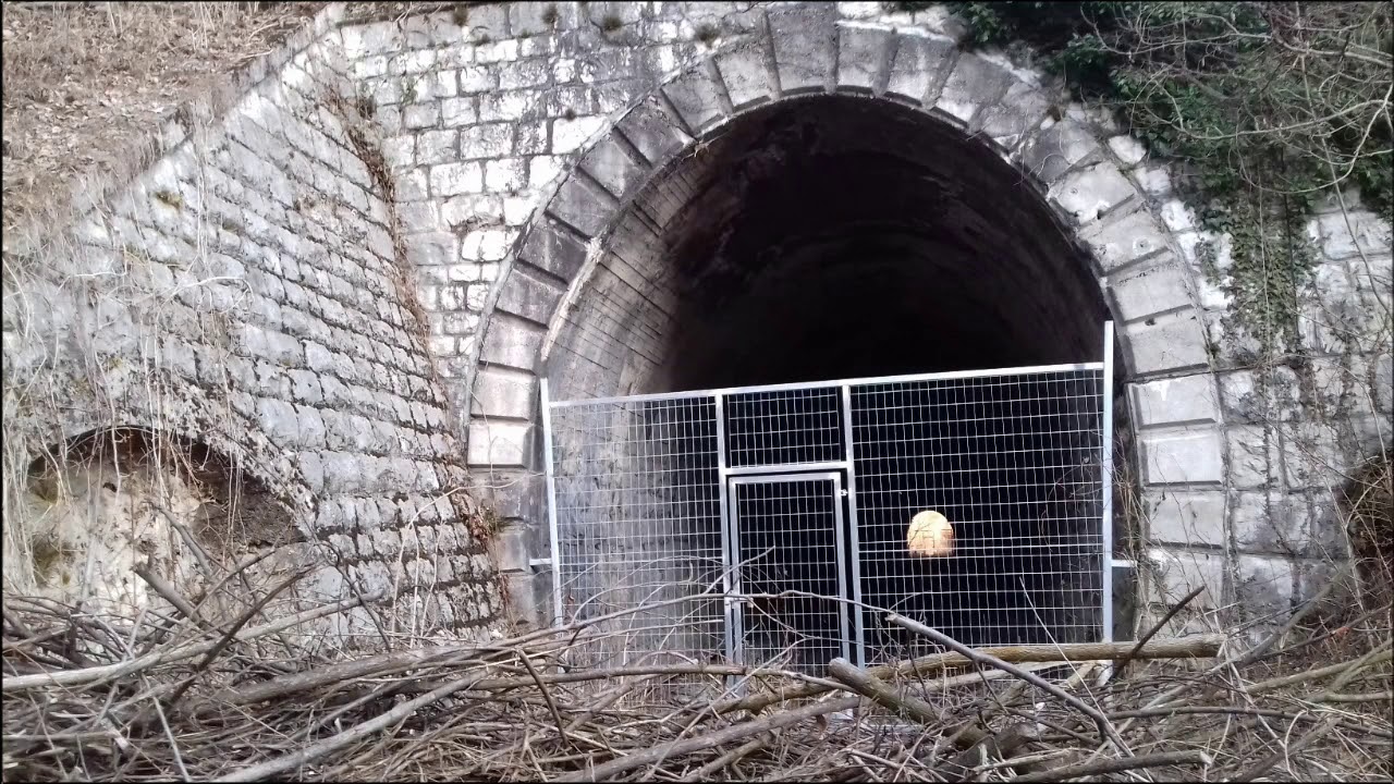 Alcune foto della ferrovia abbandonata a Perarolo di Cadore