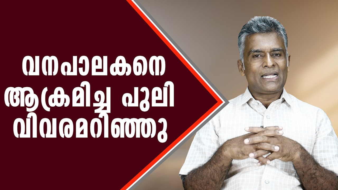 വനപാലകനെ ആക്രമിച്ച പുലി വിവരമറിഞ്ഞു
