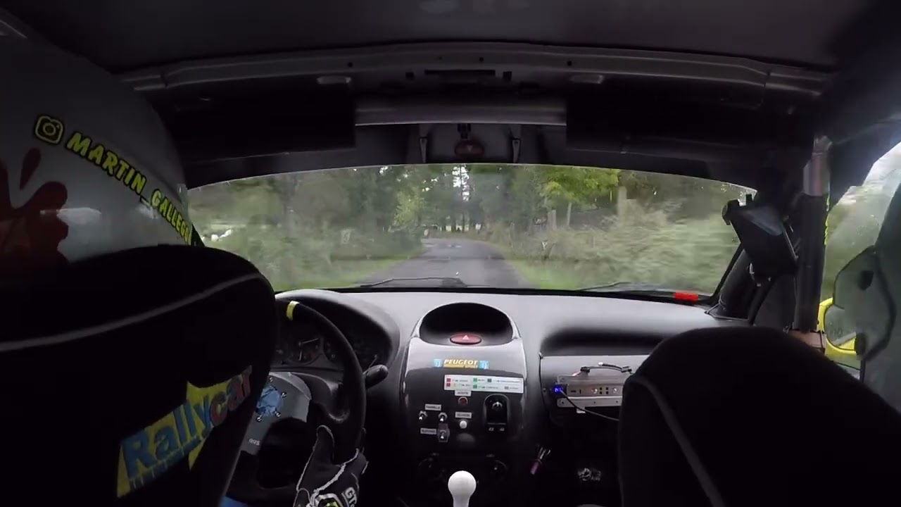 45 Rallye San Froil&aacute;n - O Corgo                              Mart&iacute;n Gonz&aacute;lez - Sonia Cao