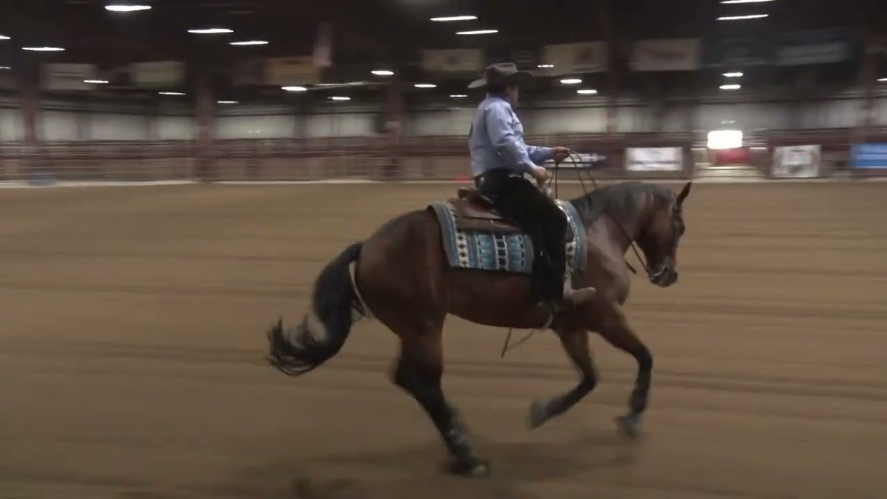 250601 Novice Open Martin Melgoza on Wimp N Neigh Neigh