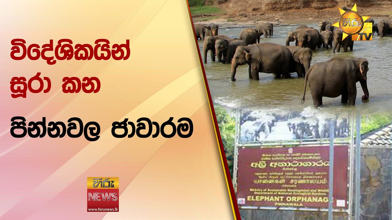 විදේශිකයින් සූරා කන පින්නවල ජාවාරම -  හිරු CIA අනාවරණයක් -  Hiru News