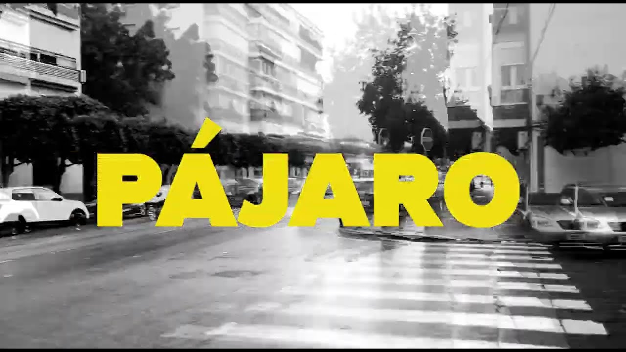 Pájaro_Colegios abandonados