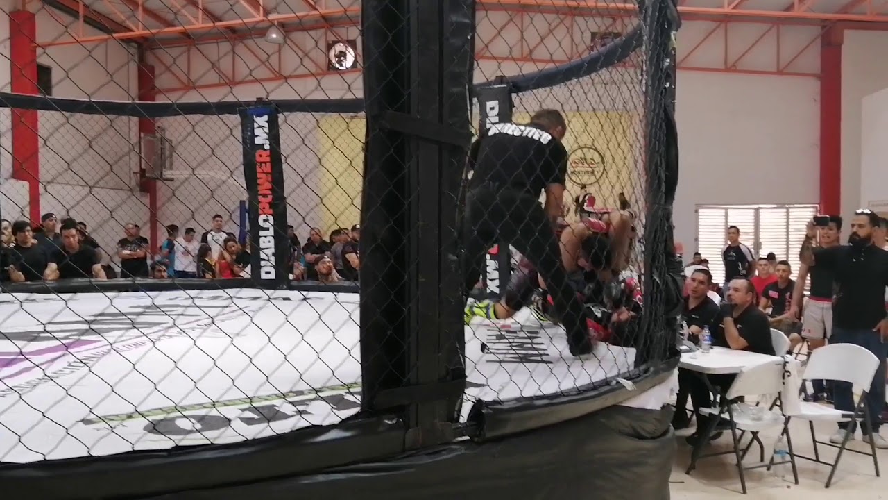 🔴🥊Pelea Amateur Mma - Copa Calaveras mty - Howard Von Team briones Vs Federico de Olimpo Academy