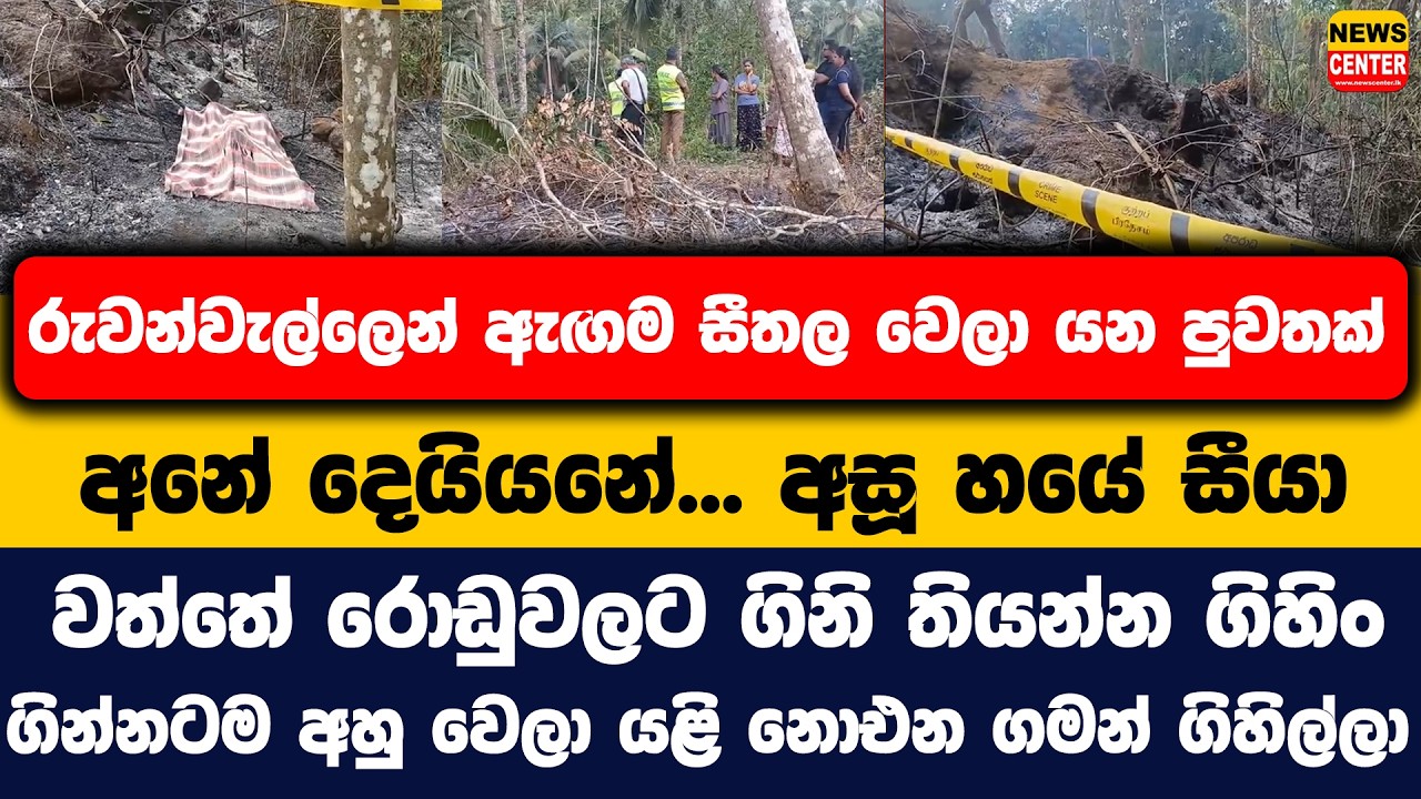 අනේ දෙයියනේ... අසූ හයේ සීයා වත්තේ රොඩුවලට ගිනි තියන්න ගිහිං ගින්නටම අහු වෙලා යළි නොඑන ගමන් ගිහිල්ලා