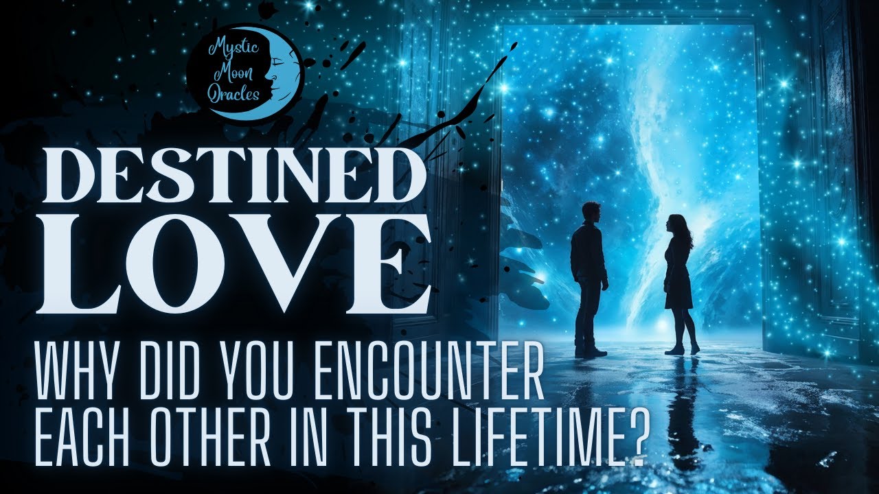 DESTINED LOVE 