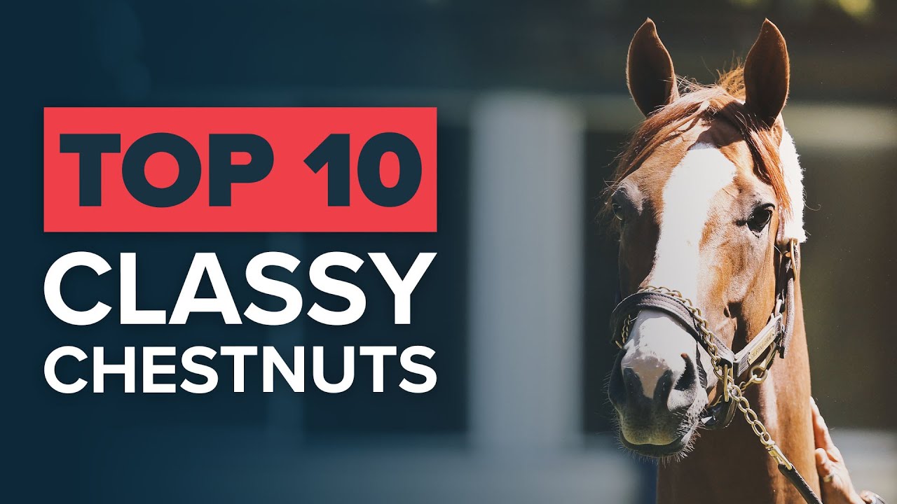 TOP 10 CHESTNUT RACEHORSES ft. Secretariat, Phar Lap, California Chrome & Stradivarius