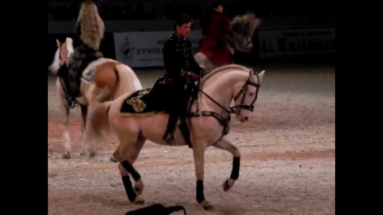 Mario luraschi " les chevaux de cinéma  "